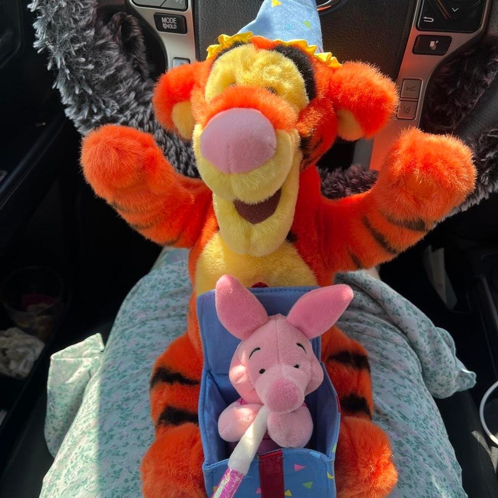 Vintage Tigger and piglet birthday plush Winnie the Pooh stuffed animal